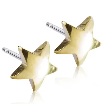 Blomdahl Star 8mm Örhängen 1par från Blomdahl – köp hos Apotek Hjärtat