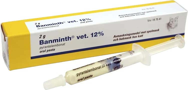 Banminth vet. oral pasta förfylld dosspruta för katt från Banminth – köp hos Apotek Hjärtat