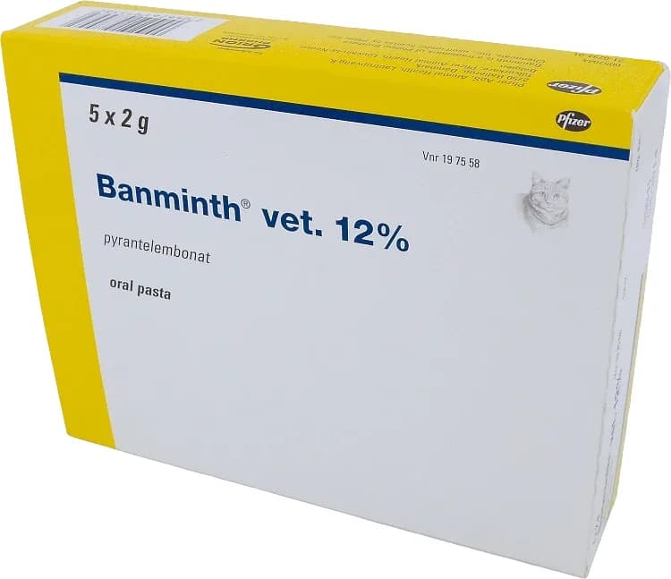 Banminth vet. oral pasta förfylld dosspruta för katt från Banminth – köp hos Apotek Hjärtat