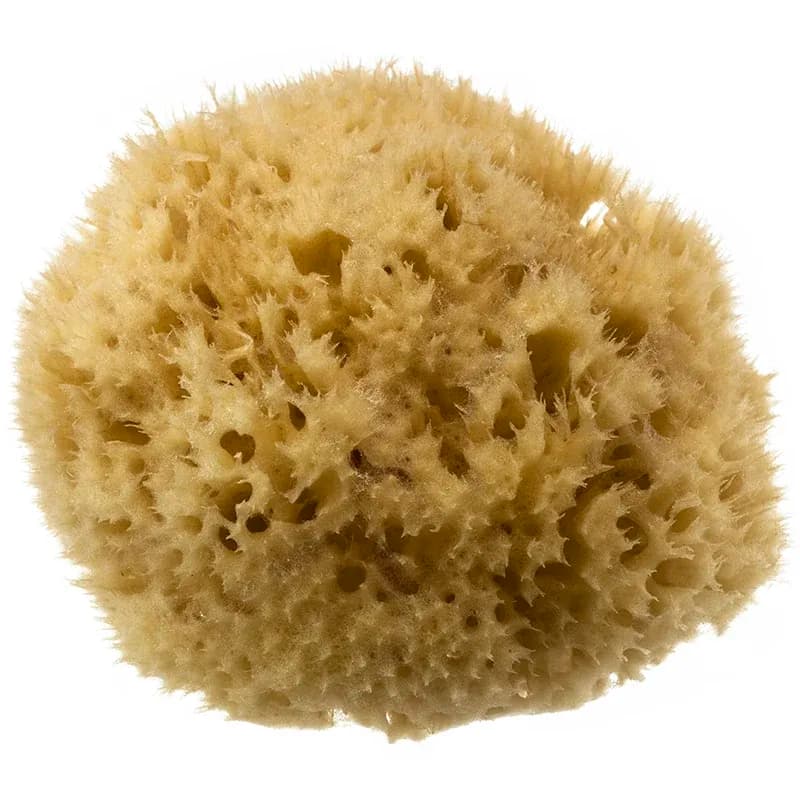 Hydrea London Honeycomb Sea Sponge från Hydrea London – köp hos Apotek Hjärtat