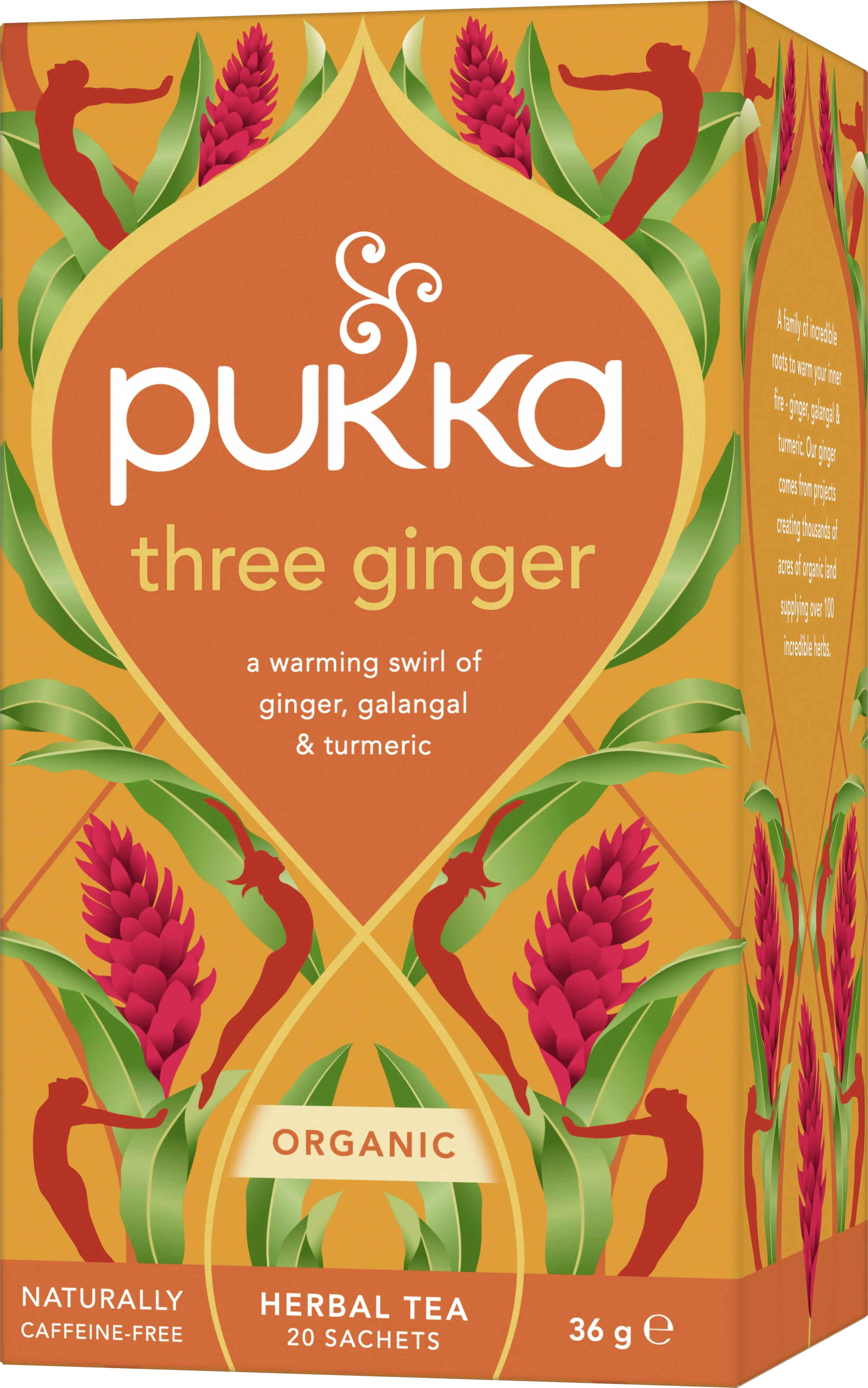 Pukka Örtte Three Ginger 20-pack från Pukka – köp hos Apotek Hjärtat