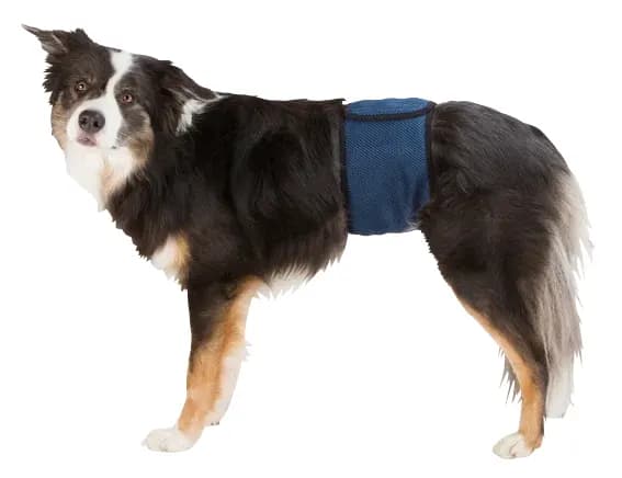 Trixie Hanhundsskydd Mörkblå XL från TRIXIE – köp hos Apotek Hjärtat