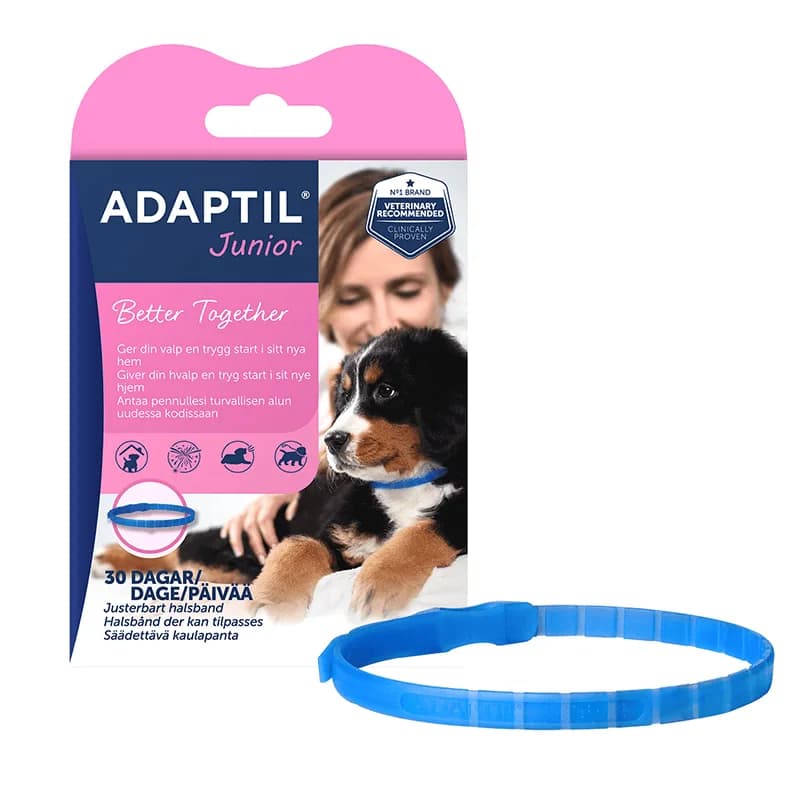 Adaptil Junior Valphalsband 37,5 cm – från Adaptil – 298 kr – hos Apotek Hjärtat