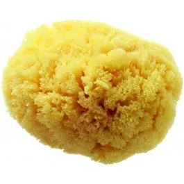Hydrea London Grass Sea Sponge Caribbean 4,0W från Hydrea London – köp hos Apotek Hjärtat