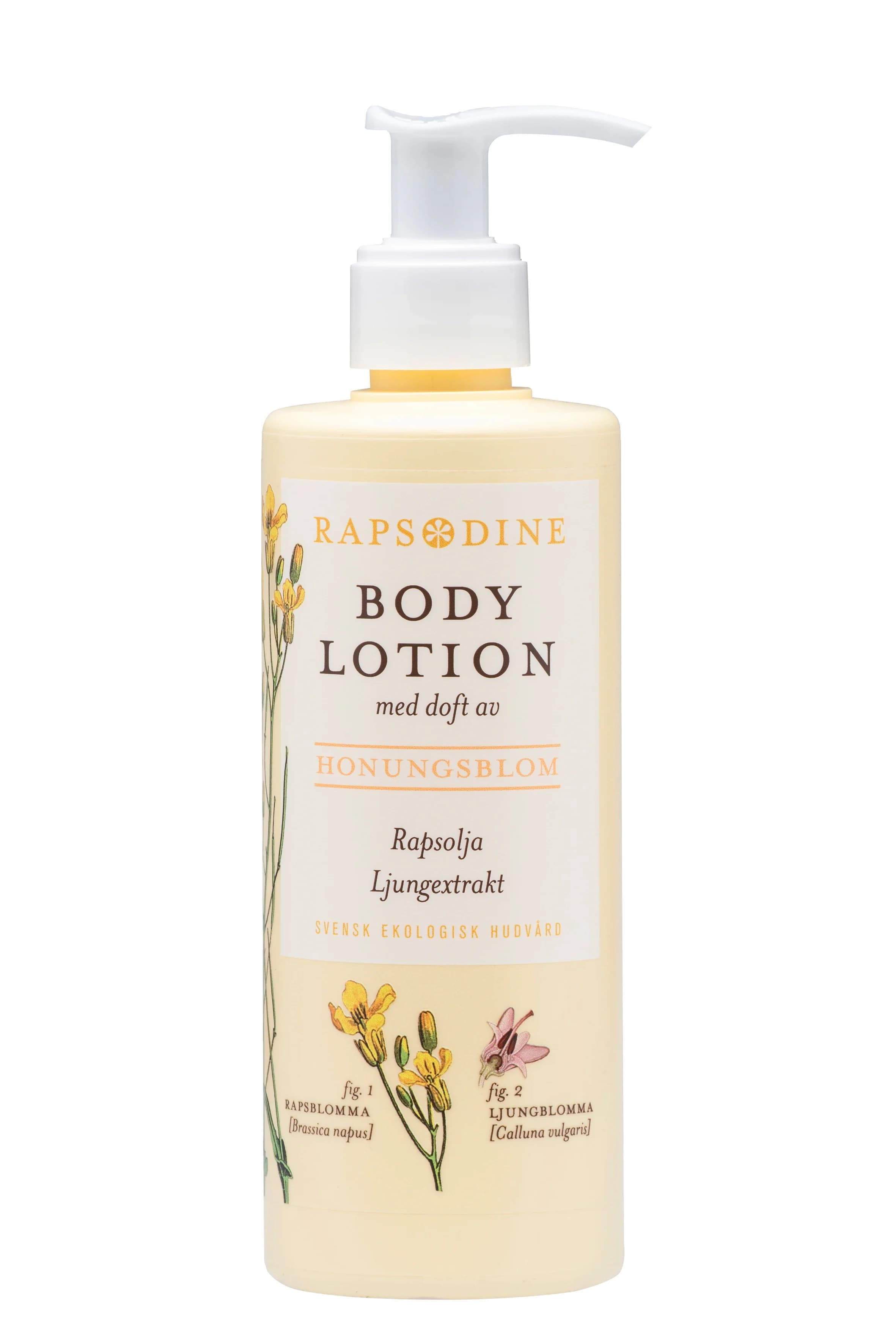 Rapsodine Body Lotion 250 ml från Rapsodine - köp hos Apotek Hjärtat