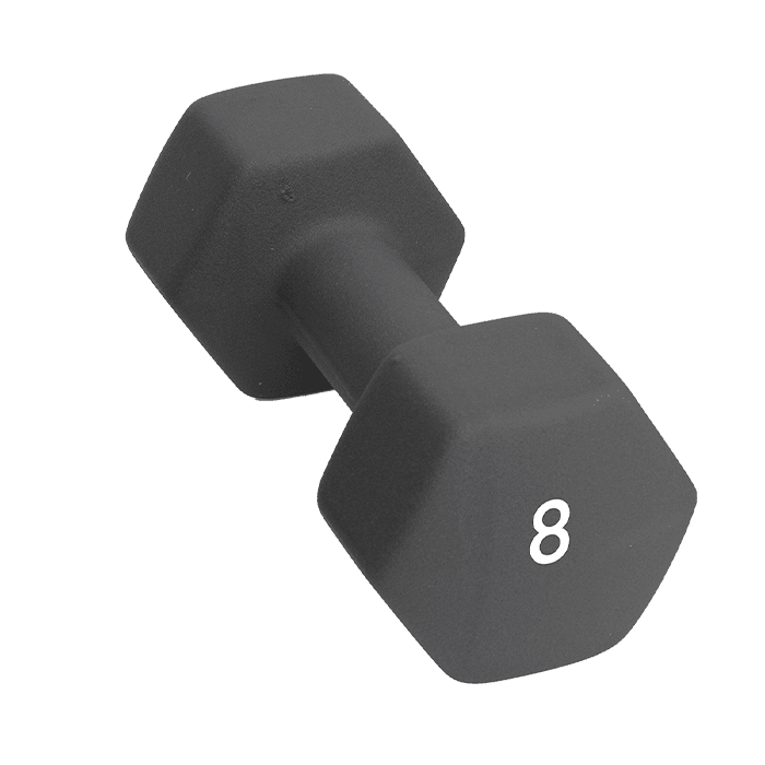 Abilica Hantel 1–10kg – från Abilica – 599 kr – hos Bodystore