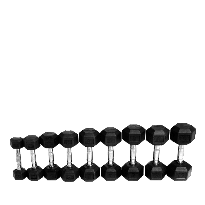 Abilica Hex Hantel – från Abilica – 399 kr – hos Bodystore