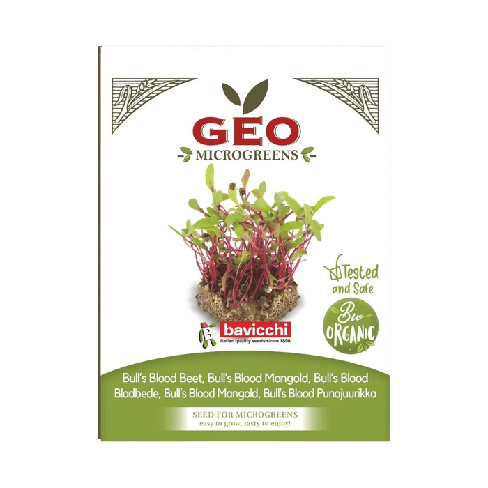 Rödbeta Bull’s Blood Microgreens Ekologisk 15g – från GEO – 30 kr – hos Bodystore