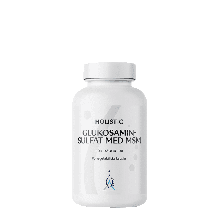 Glukosaminsulfat med MSM 90 kapslar – från Holistic – 305 kr – hos Bodystore