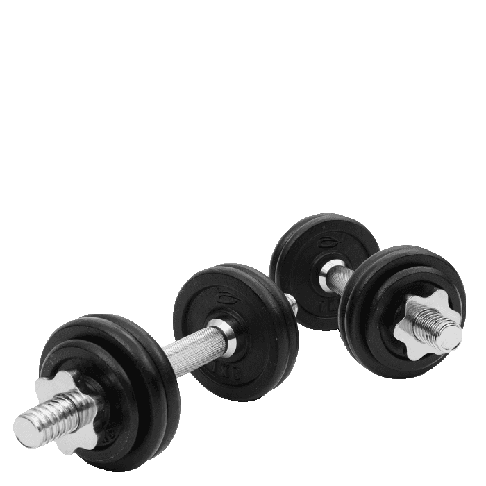 Abilica Hantelset 13 kg från Abilica – köp hos Bodystore
