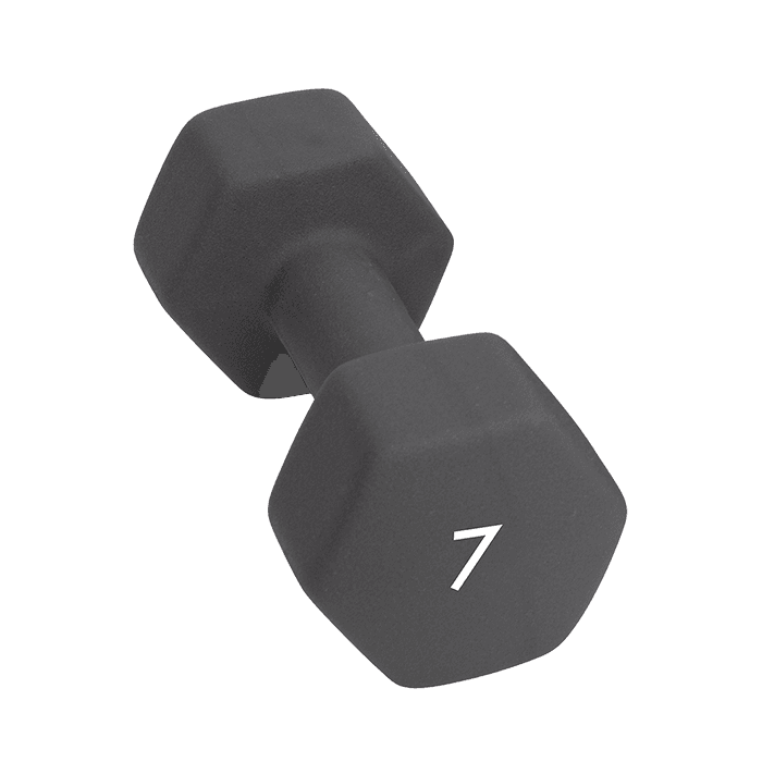 Abilica Hantel 1–10kg – från Abilica – 549 kr – hos Bodystore