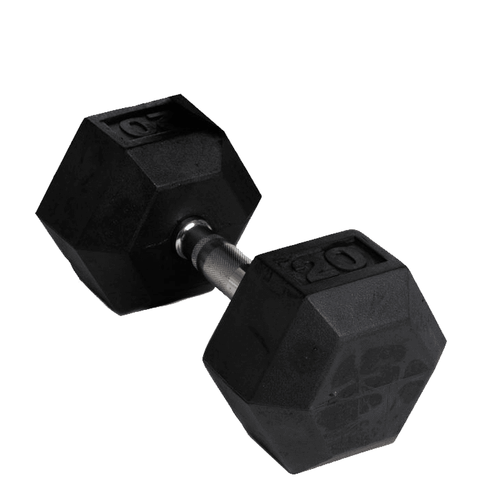 Abilica Hex Hantel – från Abilica – 999 kr – hos Bodystore