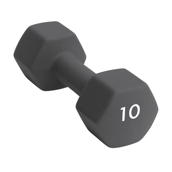 Abilica Hantel 1–10kg – från Abilica – 699 kr – hos Bodystore