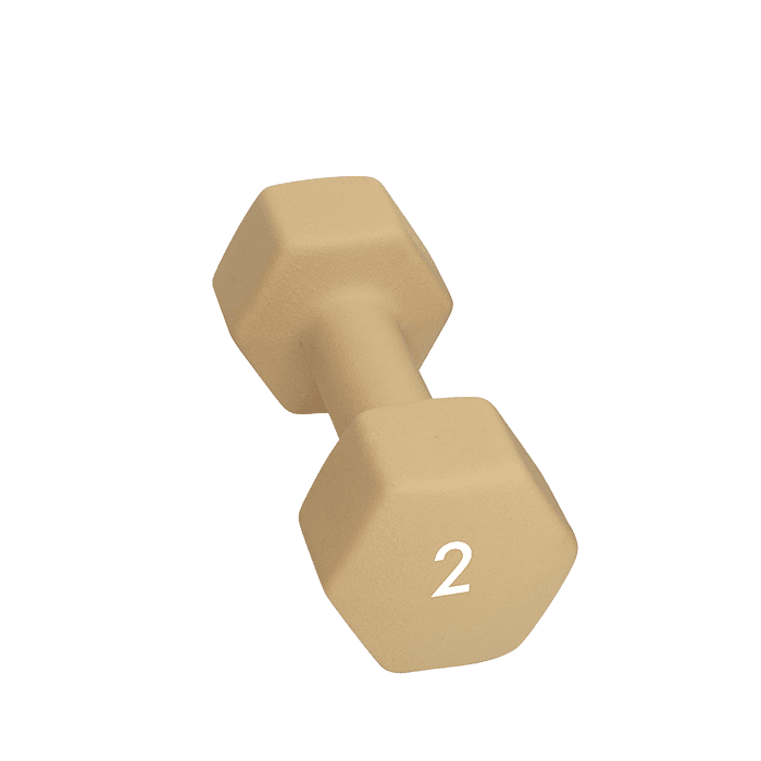 Abilica Hantel 1–10kg – från Abilica – 189 kr – hos Bodystore