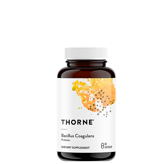 Bacillus Coagulans Mjölksyrabakterier 60 kapslar från Thorne Research Inc. – köp hos Bodystore