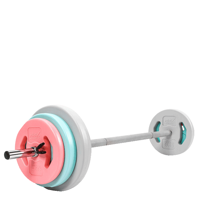 Vivid 20 kg pump set inkl. Skivstång – från Gymstick – 739 kr – hos Bodystore