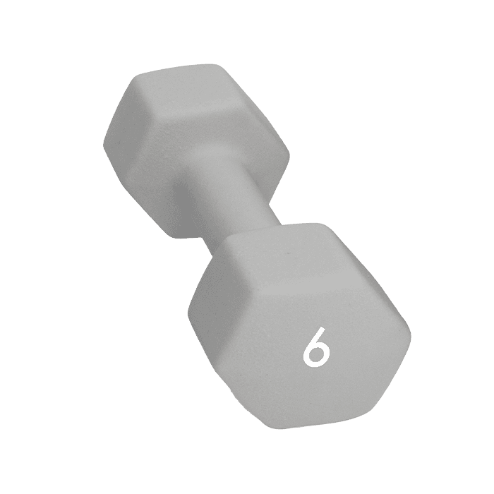 Abilica Hantel 1–10kg – från Abilica – 479 kr – hos Bodystore