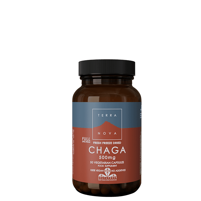 Chaga 500 mg 50 kapslar – från Terra Nova – 187 kr – hos Bodystore