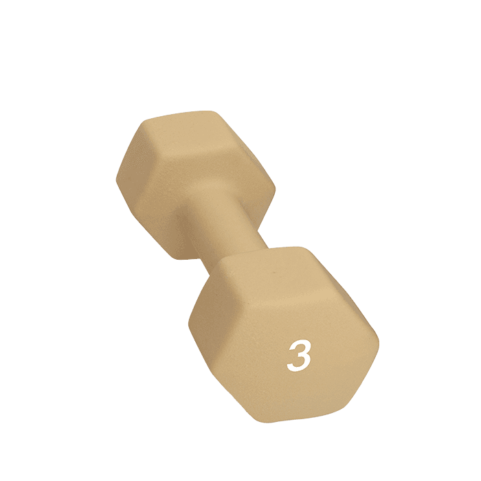 Abilica Hantel 1–10kg – från Abilica – 249 kr – hos Bodystore
