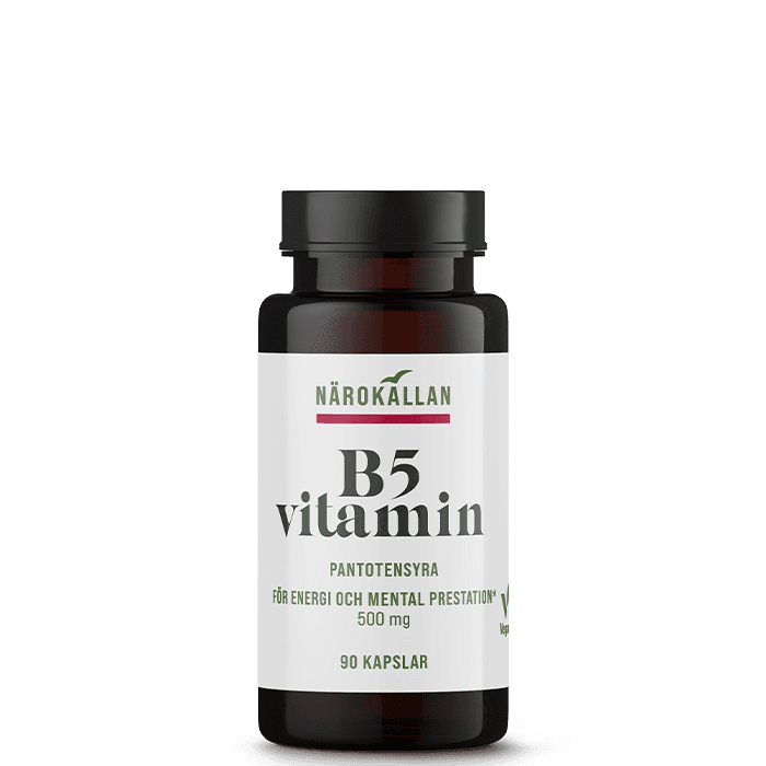 B5 500 mg 90 kapslar från Närokällan – köp hos Bodystore