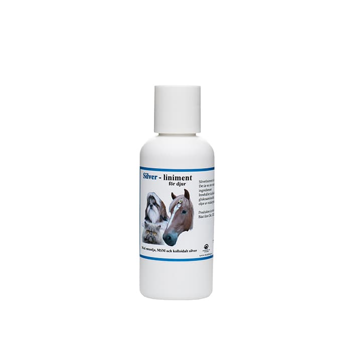 Silverliniment 100 ml – från Ion Silver – 149 kr – hos Bodystore